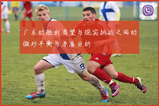 广东的胜利渴望与现实挑战之间的微妙平衡与矛盾分析