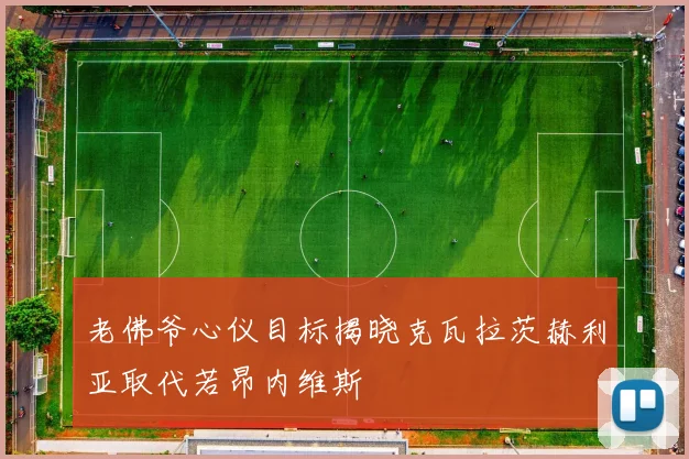 老佛爷心仪目标揭晓克瓦拉茨赫利亚取代若昂内维斯